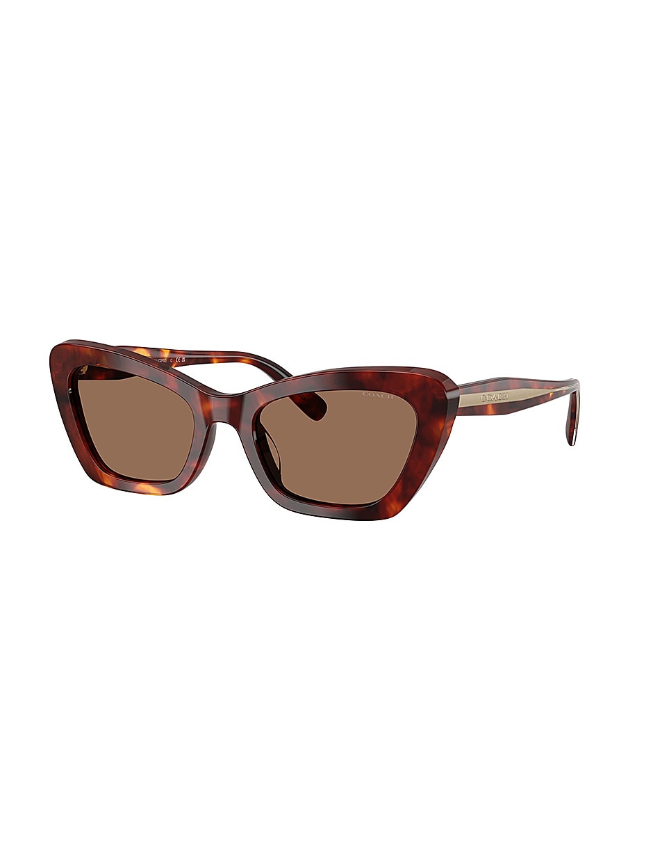 Lentes de sol Premium Fashion 0Hc8452U59387354 para mujer 2
