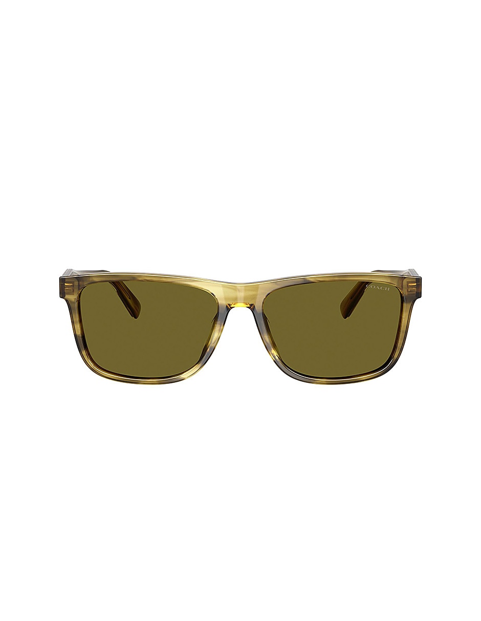 Lentes de sol Premium Fashion 0Hc8454U5945/259 para hombre 1
