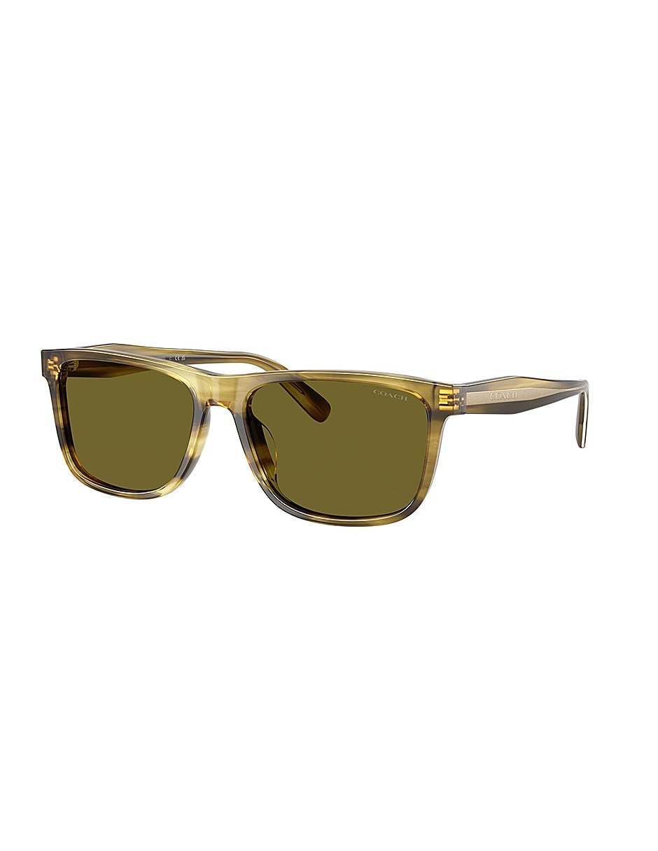 Lentes de sol Premium Fashion 0Hc8454U5945/259 para hombre 2