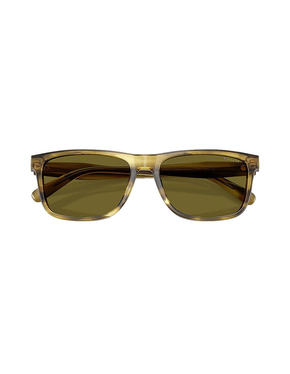 Lentes de sol Premium Fashion 0Hc8454U5945/259 para hombre 4