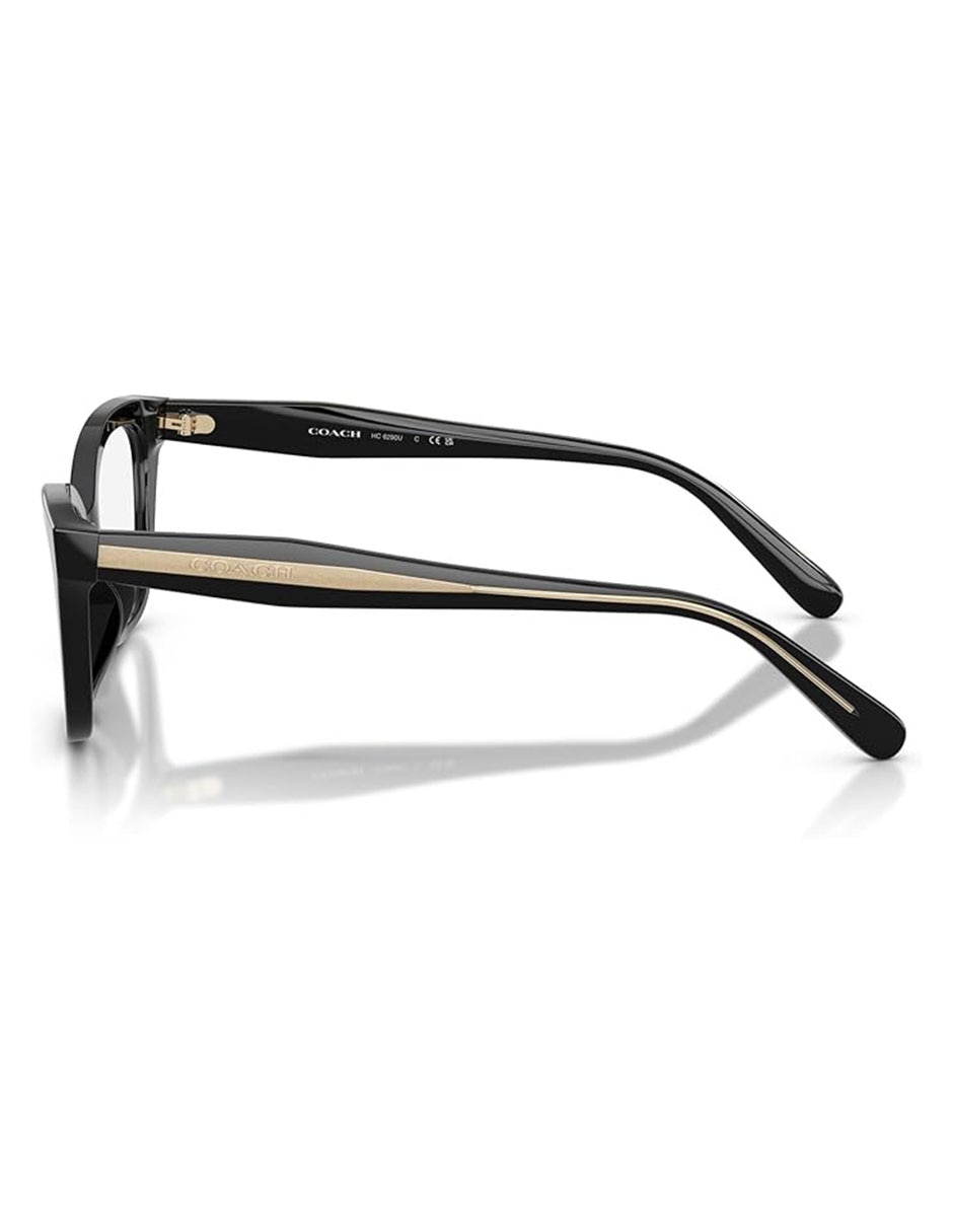 Lentes solares Premium Fashion 0HC6290U5002 para mujer 3