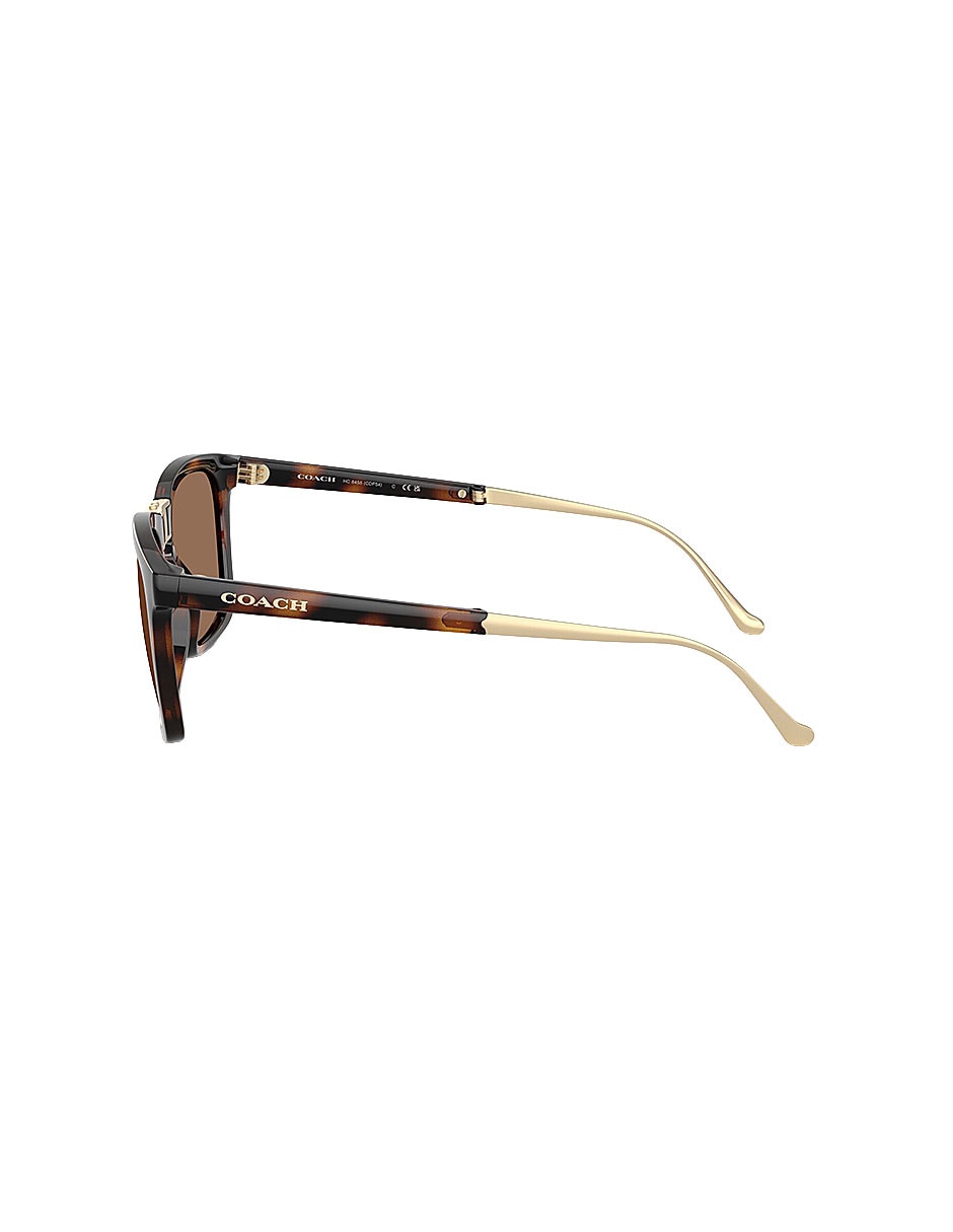 Lentes de sol Premium Fashion 0Hc845551201356 para hombre Lentes de sol Premium Fashion 0Hc845551201356 para hombre