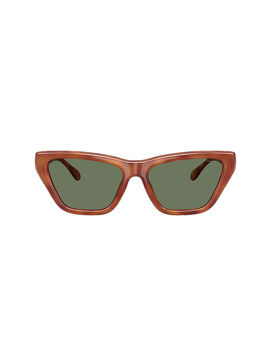 Lentes de sol Premium Fashion 0Hc8449U57748256 para mujer 1