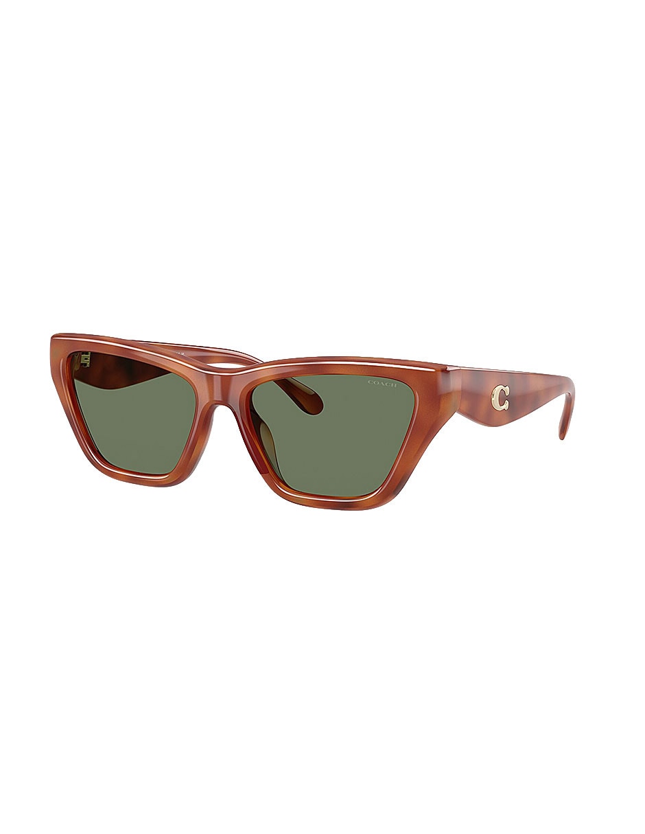 Lentes de sol Premium Fashion 0Hc8449U57748256 para mujer 2