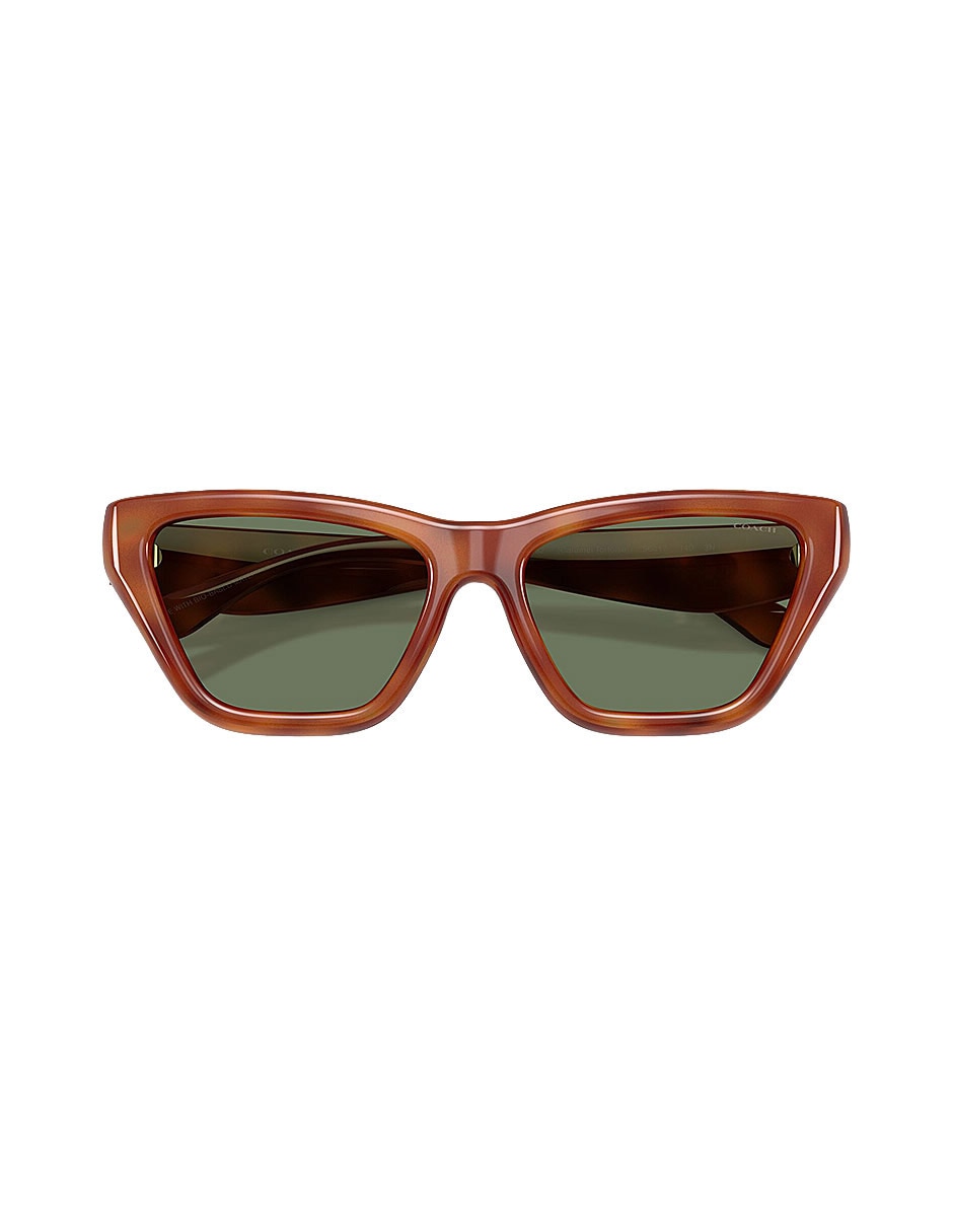 Lentes de sol Premium Fashion 0Hc8449U57748256 para mujer 4